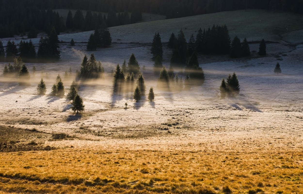 Bernau Schwarzwald Herbst Landschaft Talgrund leichte Nebelschwaden.jpg